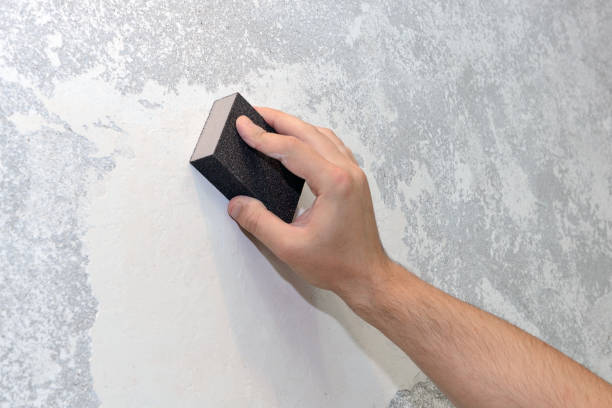 Best Comprehensive Air Testing for Mold Contaminants  in Clarendon, TX