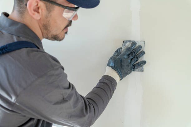 Best Forensic Mold Investigation  in Clarendon, TX