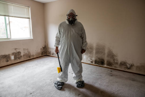 Best Post-Remediation Verification Testing  in Clarendon, TX